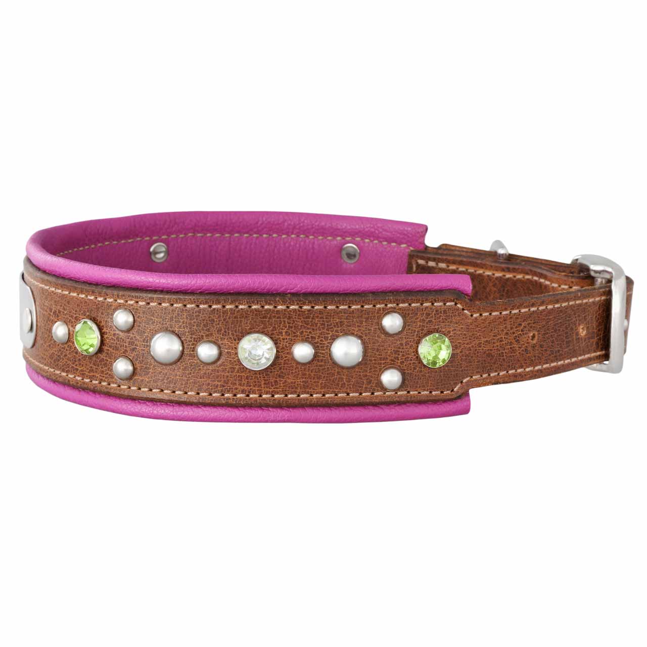 Aurora Artisan Padded Leather Dog Collar with Nameplate