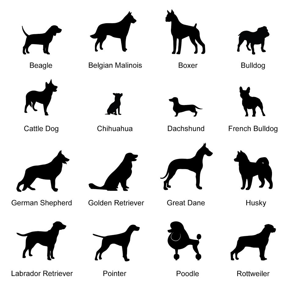 specialized search dogs sticker