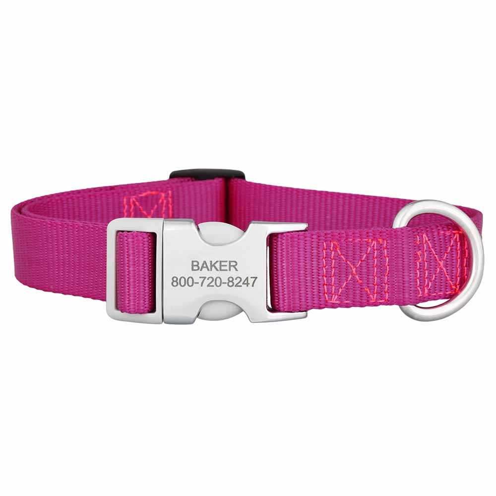 Personalized Buckle Nylon Dog Collar Raspberry dogIDs