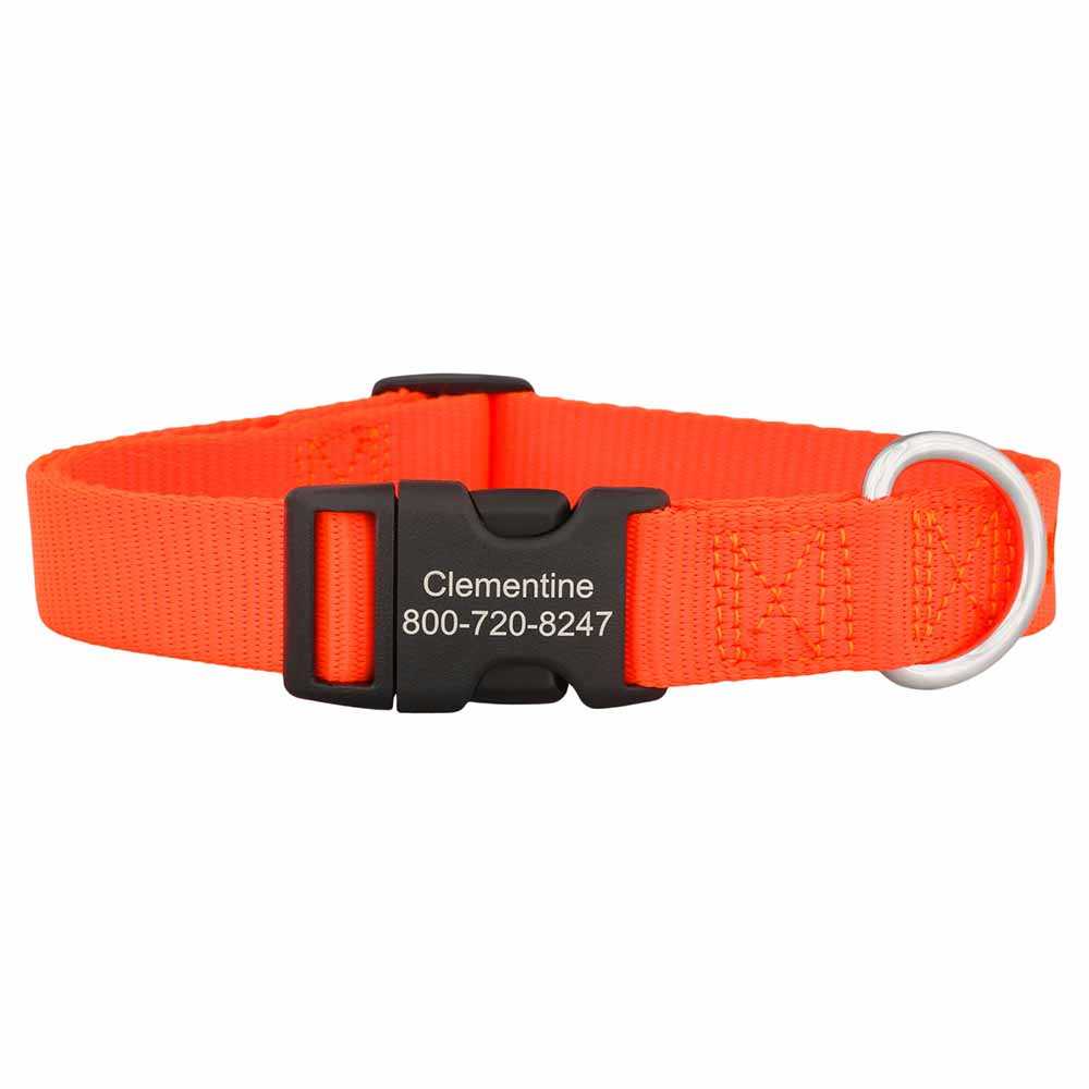 Personalized Buckle Nylon Dog Collar Orange dogIDs