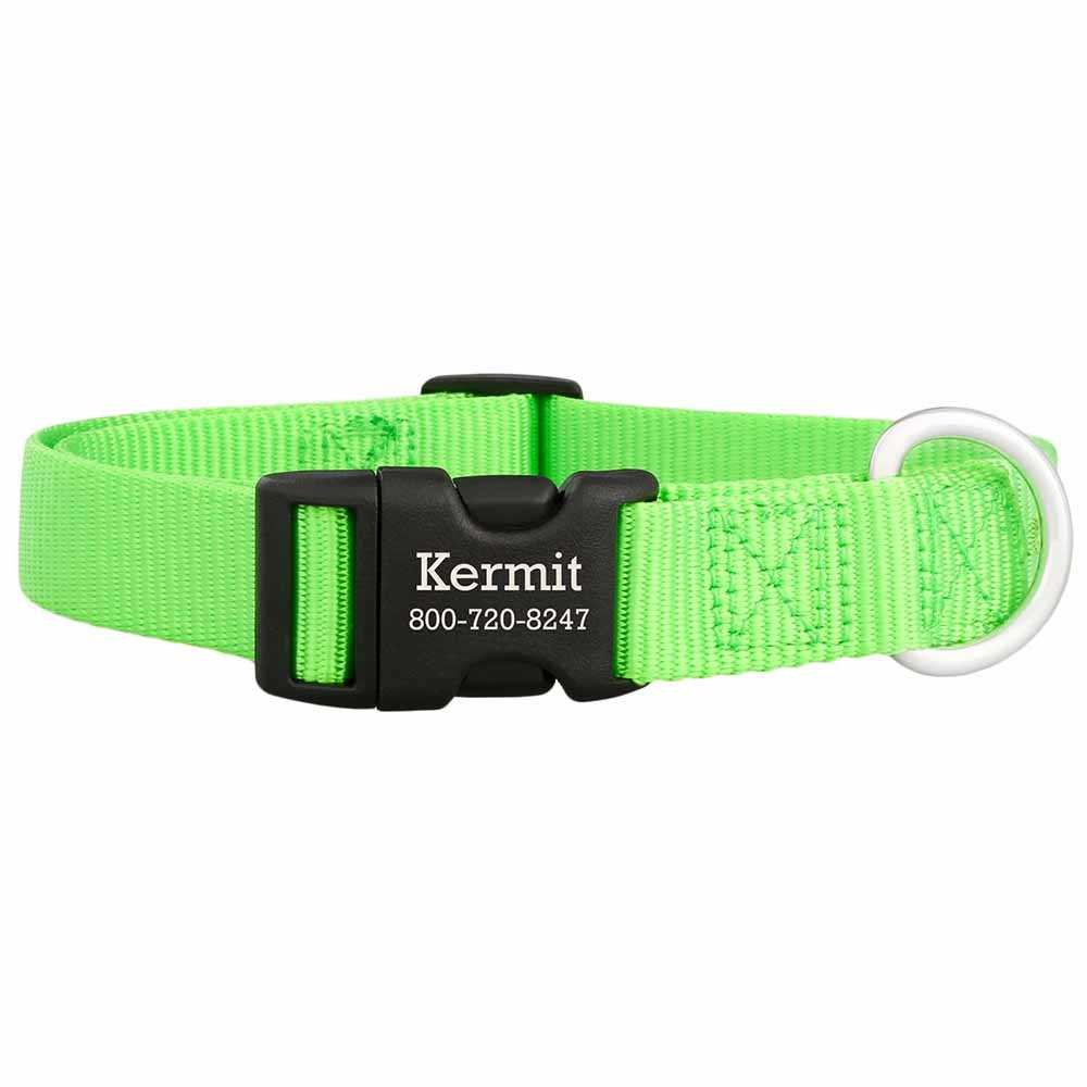 Personalized Buckle Nylon Dog Collar Lime Green dogIDs