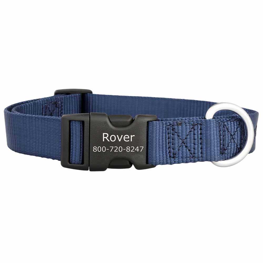 Personalized Buckle Nylon Dog Collar dogIDs