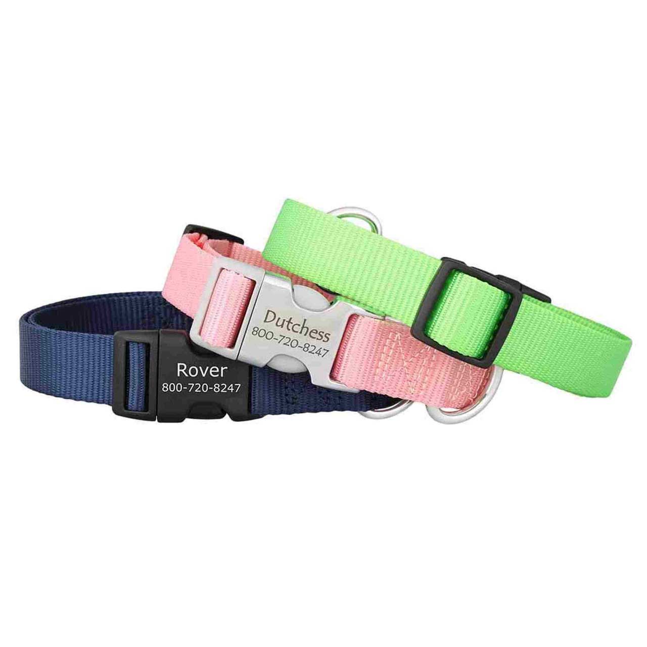 Personalized Buckle Nylon Dog Collar Group dogIDs