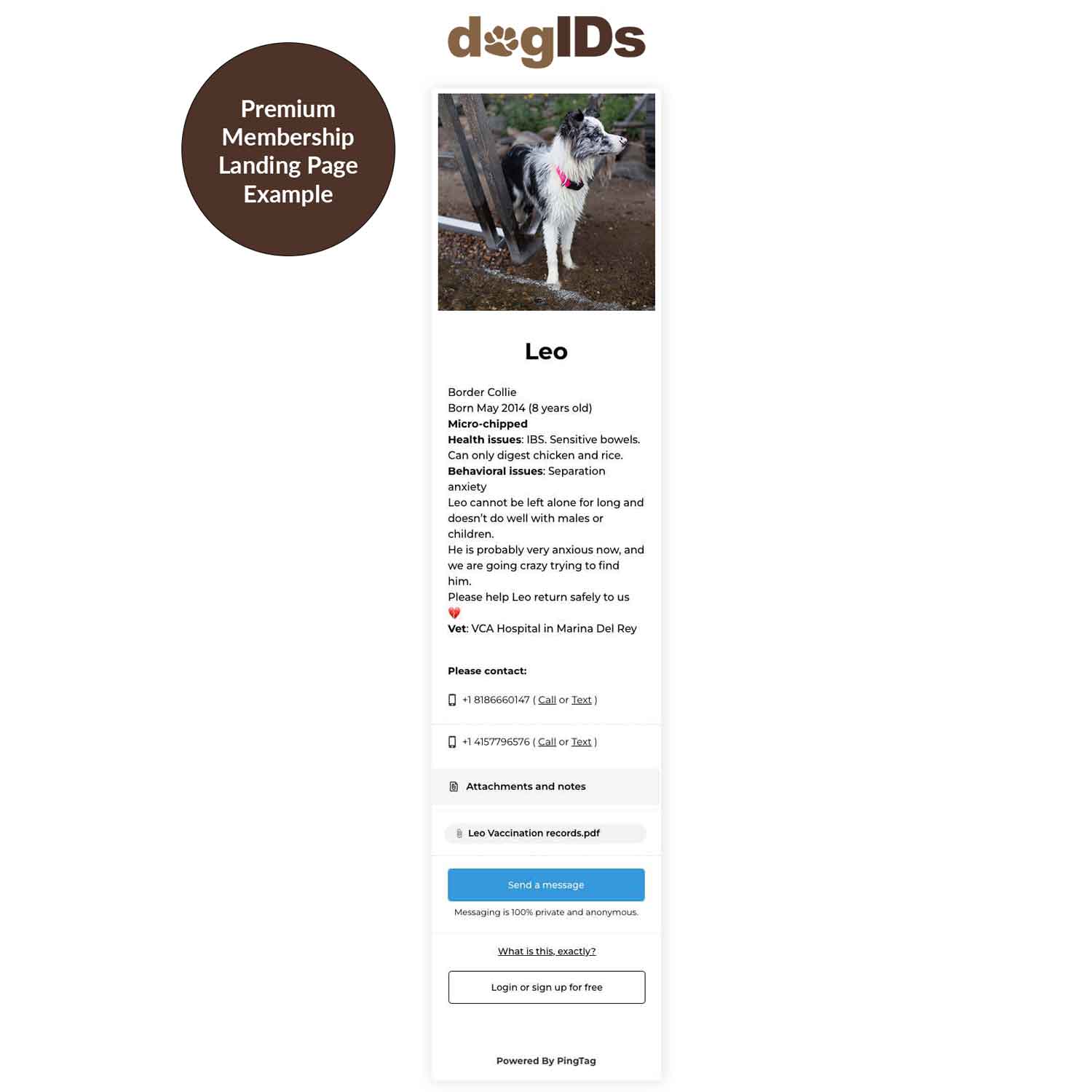 PingTag Premium Landing Page Example