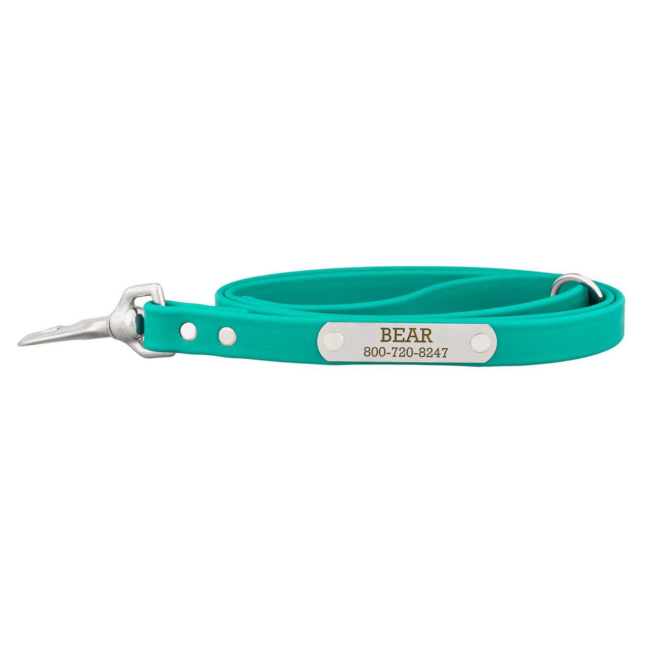 Personalized Waterproof Soft Grip Snap Leash Teal dogIDs