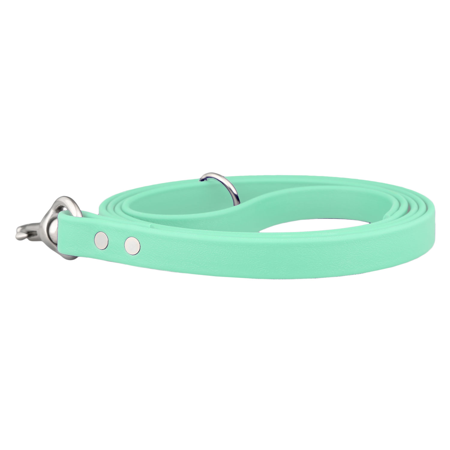 Waterproof Soft Grip Snap Leash Mint