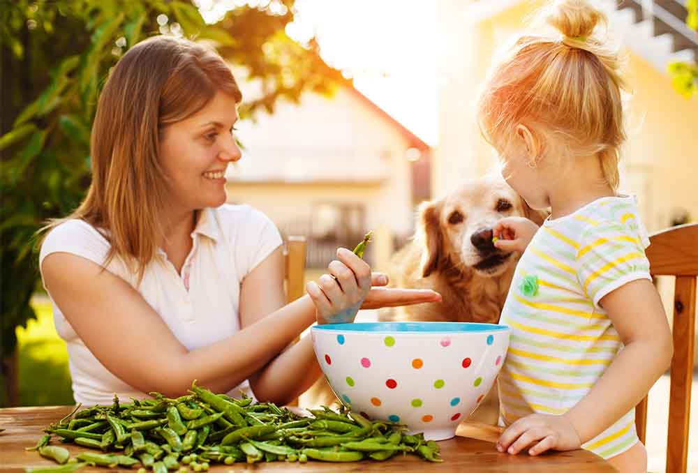 can dogs eat peas and green beans