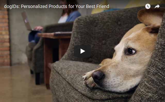 Check out the dogIDS Youtube Channel! dogIDs Youtube Channel Link