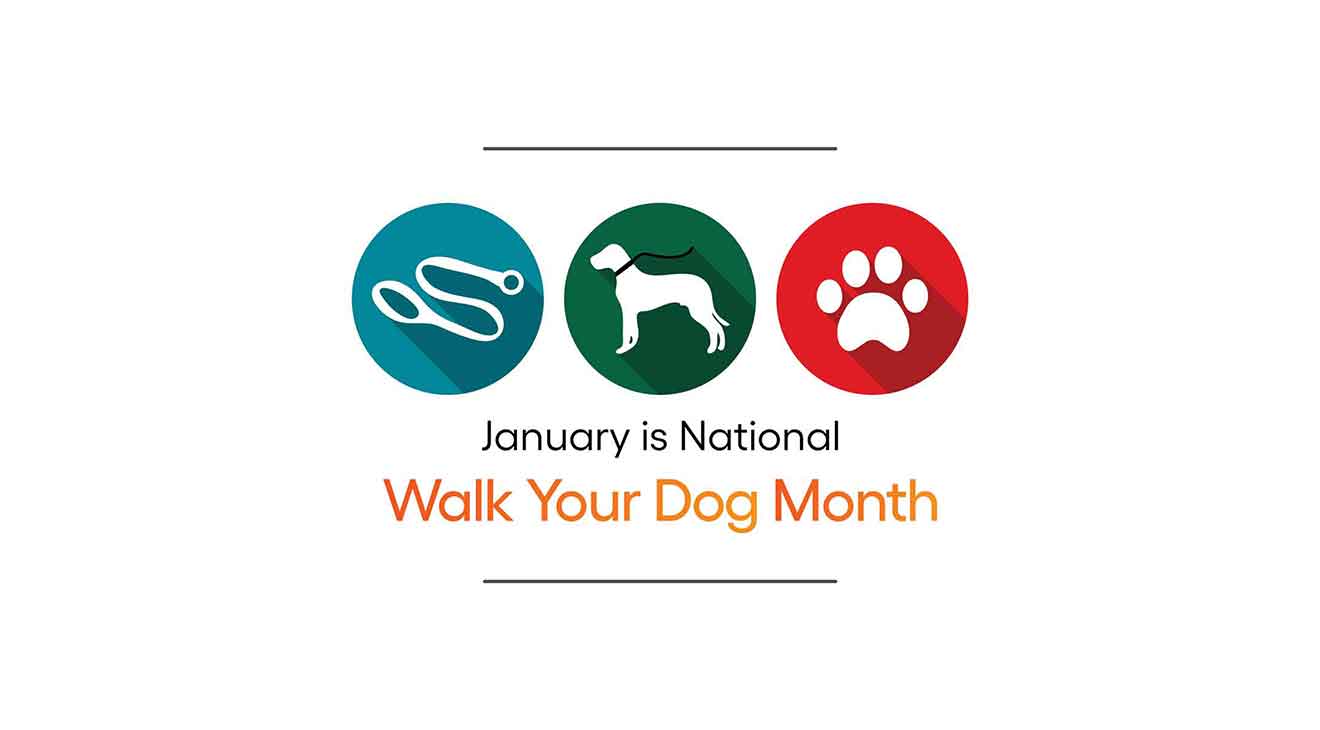 National Walk Your Dog Month for You and Your Dog dogIDs