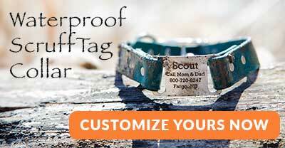 Personalized Soft Designer Leather Dog Collars