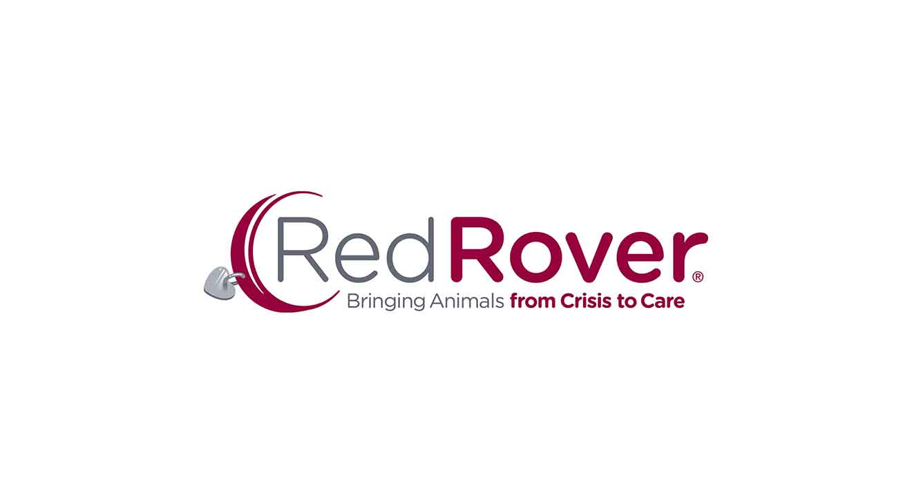 Red Rvoer From Crisis to Care - Paw it Forward with RedRover - dogIDs