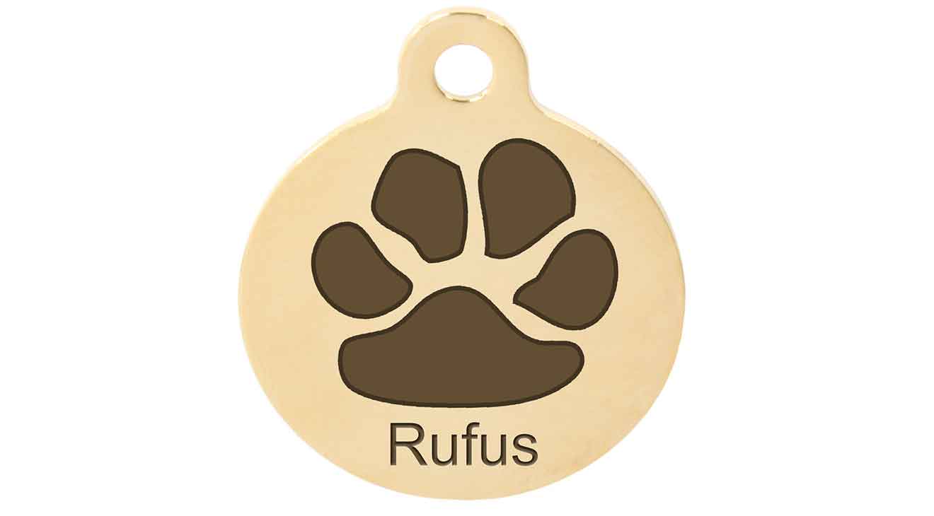 The 21 Best Dog ID Tags of 2023 to Keep Your Pet Safe