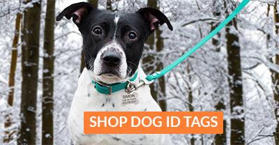 Circle Pet ID Tag – The Foggy Dog