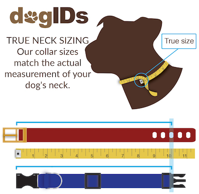 How to Measure Your Collar Size