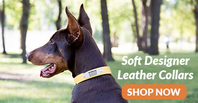 Personalized Soft Designer Leather Dog Collars