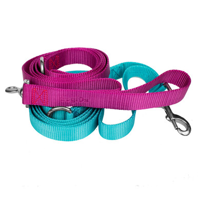 Double dog shop leash petco