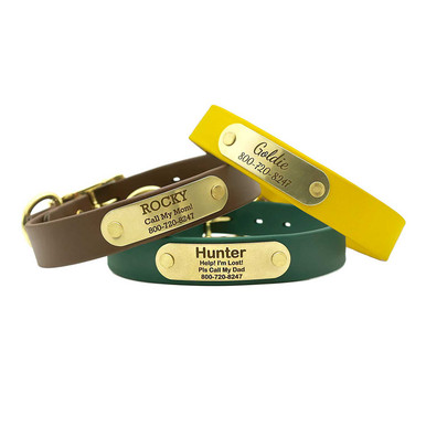 Personalized Waterproof Standard NamePlate Collar with Brass Hardware