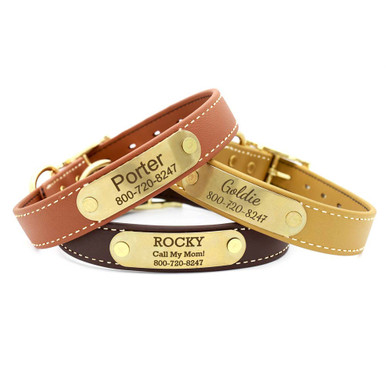 DogIDs - Waterproof Standard Nameplate Collar with Brass Hardware