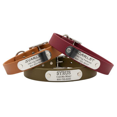 Personalized Waterproof Standard NamePlate Collar