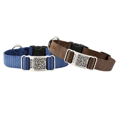 5 Benefits of Quick-Release Buckle Dog Collars - dogIDs