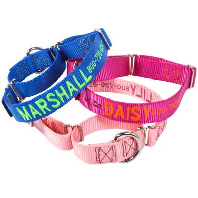 Custom Embroidered Nylon Martingale Collar
