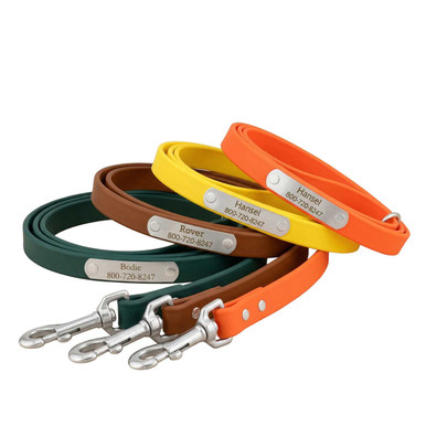 Personalized Waterproof Leash with NamePlate