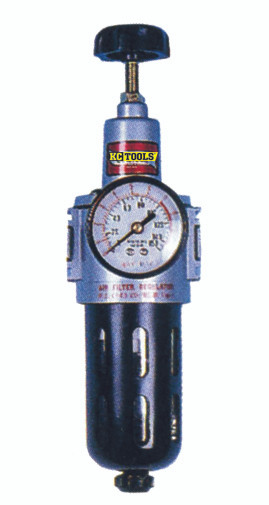 3/8NPT FILTER REG WITH GAUGE