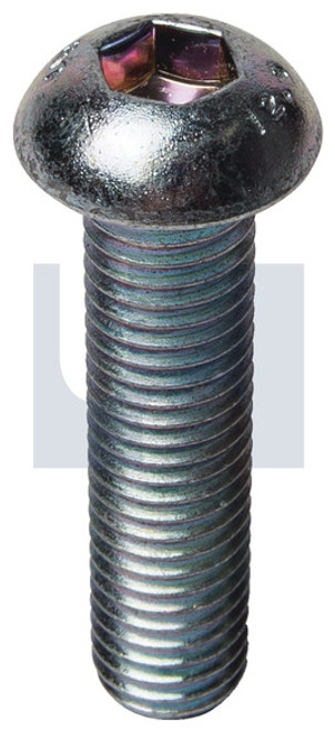 HOBSON BUTTON HEAD SO Z/P