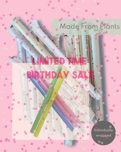 Chunky Colourful COMPOSTABLE PLA Straws - Individually Wrapped 1.2x21cm