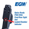 EGW Red Dot Sight Mount for Sig Sauer P365X & P365XL Optics Ready (fits Burris FastFire, Docter, Viridian RFX25)