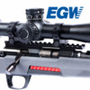 EGW Winchester Xpert .22 LR Picatinny Rail