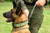 G-CODE K9 Unit Patch