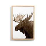 A light wood framed image of a moose against a white background.