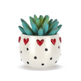 A mini white ceramic container with small raised red hearts and black dots. The container has an artificial succulent.