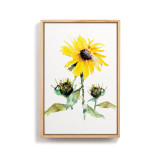 A light wood framed wall art of a watercolor yellow sunflower.