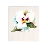 A white biodegradable dish cloth with a watercolor image of a white sego lily.