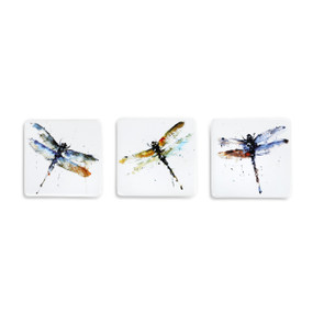 Three white magnets with various dragonfly watercolor images on the front.