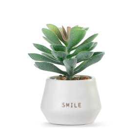 A small green artificial succulent in a cream ceramic planter that says "Smile".