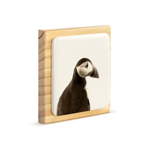 A square wood plaque with a white tile that has an image of a puffin, displayed angled to the right.