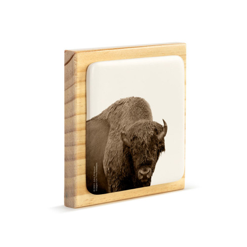 A square wood plaque with a white tile that has an image of a bison, displayed angled to the right.
