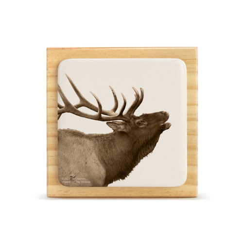 A square wood plaque with a white tile that has an image of an elk.