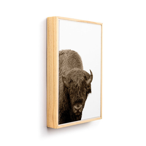 A light wood framed image of a bison from the front against a white background, displayed angled to the right.