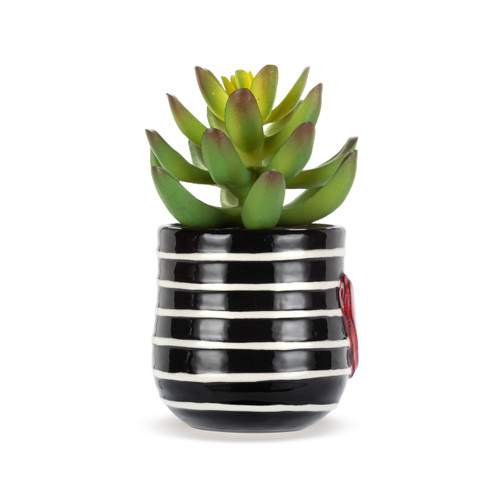 Right profile view of a mini black ceramic container with white stripes and a raised red heart. The container has an artificial succulent.