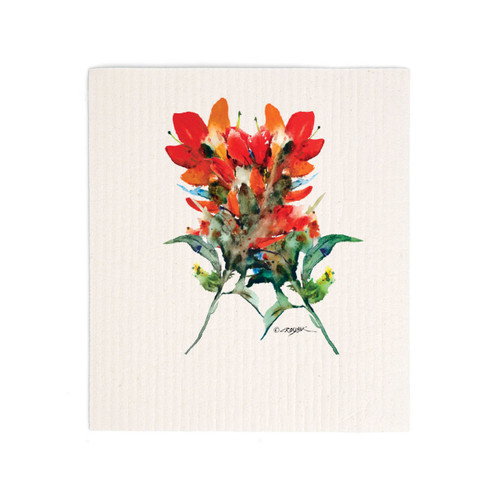 A white biodegradable dish cloth with a watercolor image of an Indian paintbrush.