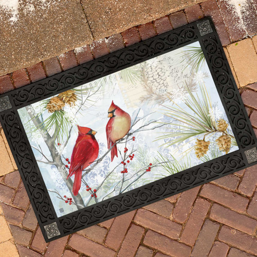 Northern Cardinals MatMate slide 