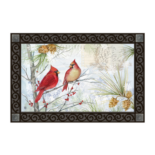 Northern Cardinals MatMate slide 