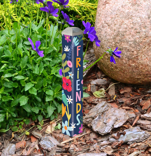 Friend 10" Mini Art Pole slide 