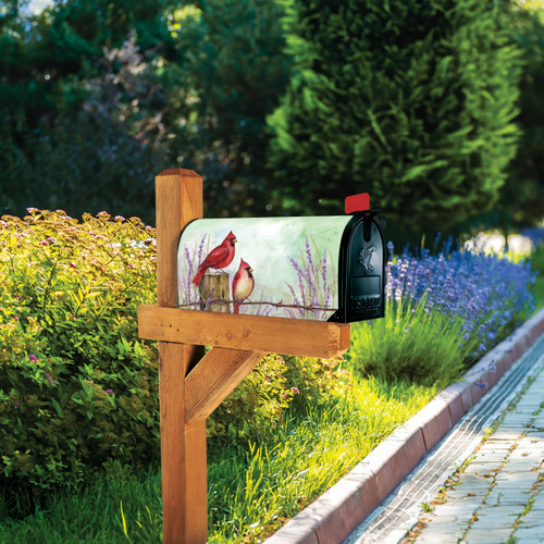 Cardinals on Wire Fence MailWrap slide 
