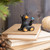 A mini figurine of a sitting black bear holding a little blue bird on its paw, displayed set on a pile of books in a living room setting.