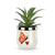 A mini white ceramic container with a raised orange butterfly and red heart on the front. The container has an artificial succulent, displayed angled to the left.